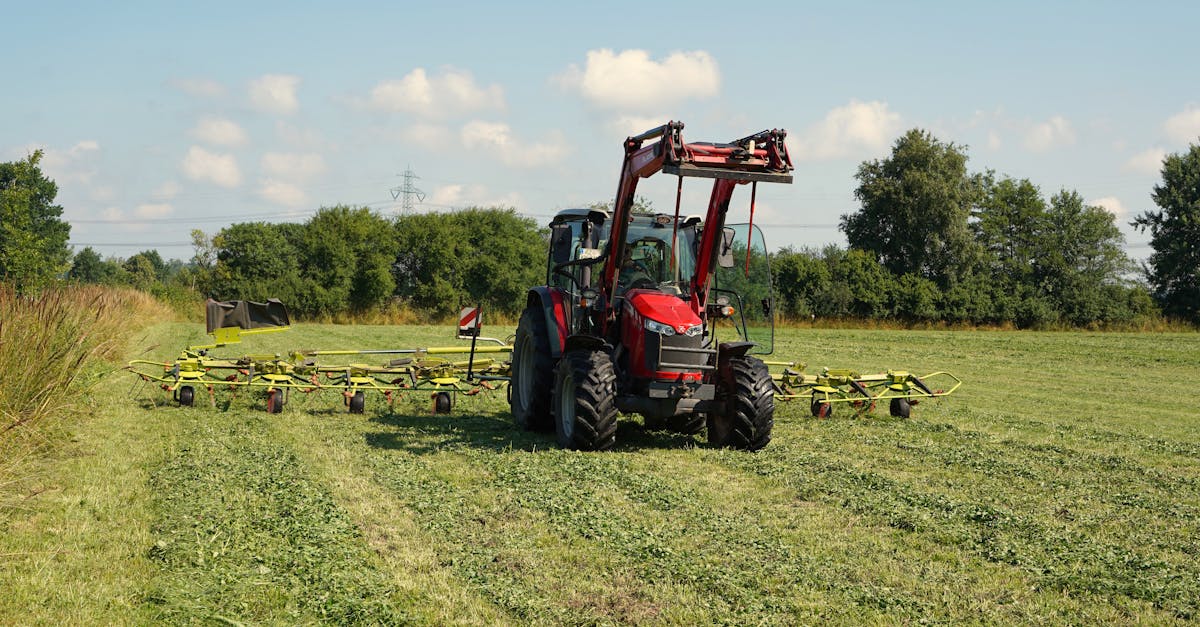 Microinfluenciador local criando conteúdo digital