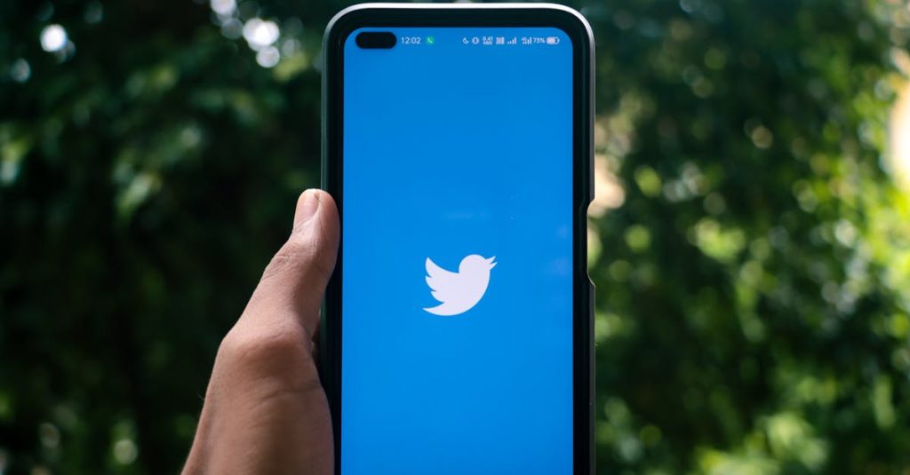 Pessoa olhando para celular com ícones de seguidores falsos nas redes sociais