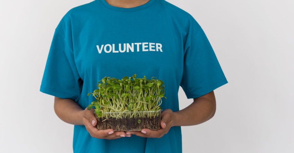 Pessoa analisando gráficos de crescimento sustentável nas redes sociais