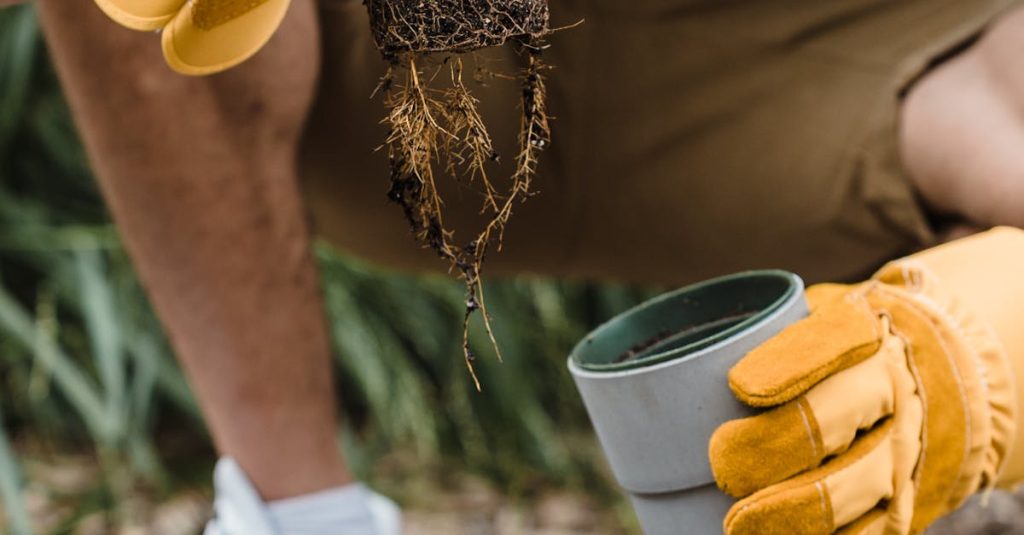 Pessoa segurando smartphone com aplicativo do YouTube Shorts aberto